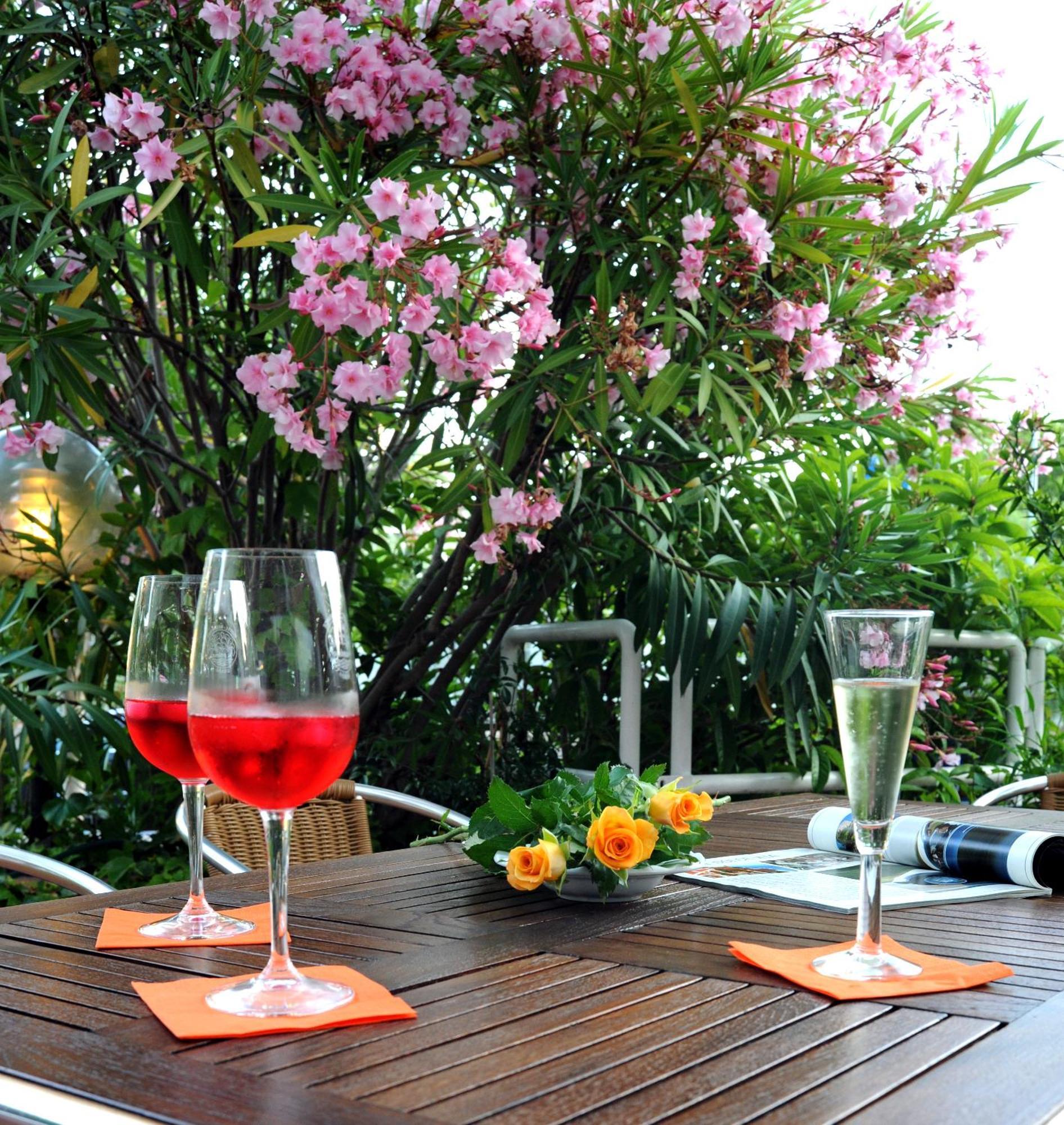 Hotel Le Palme