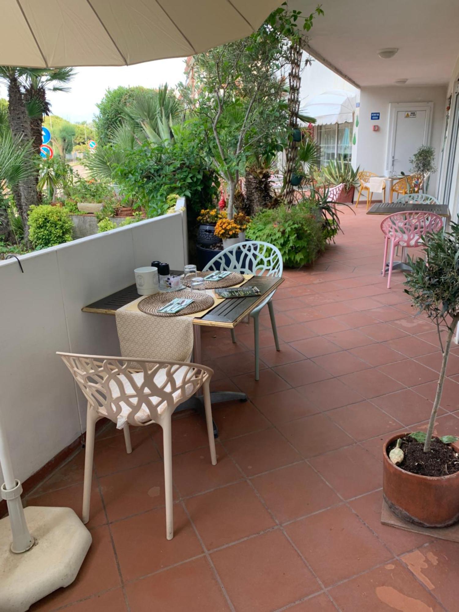 Le Palme Grado